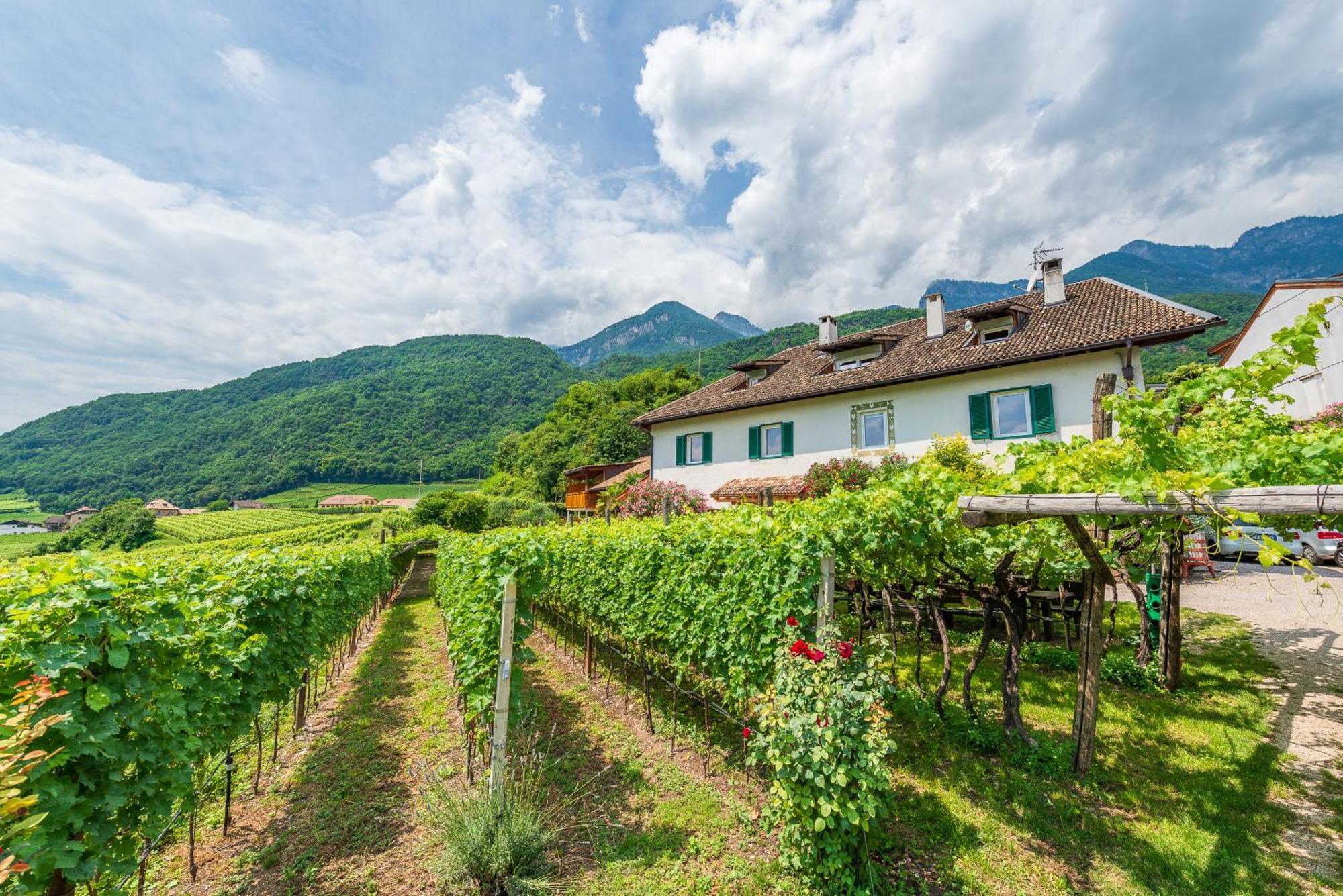 Weinhof Am See Caldaro Exteriér fotografie